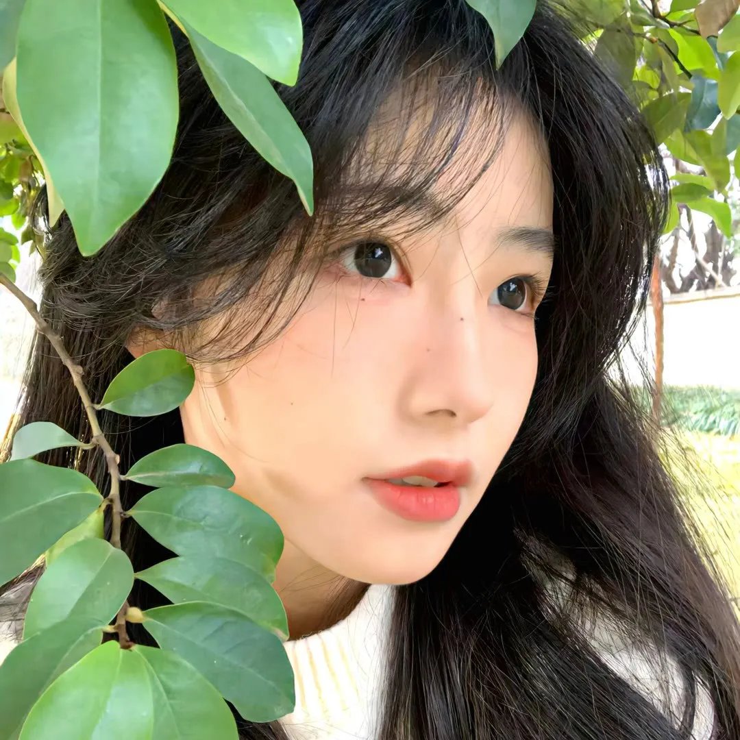 龙月